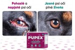 Pupex Vision