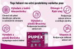 Pupex Vision