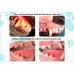 Pupex Dental & Oral Support